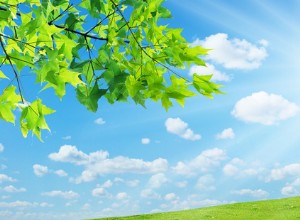 夏の暑さはあなたの車のバッテリーにその犠牲を払うことができます 