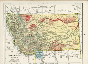 金持ちが彼らの新しい車を買う方法とあなたが同じことをする方法 