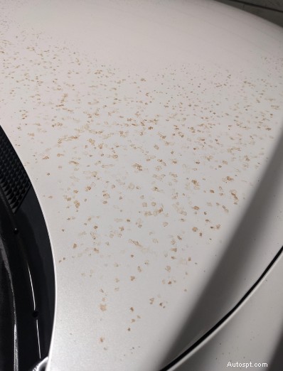 車の塗装汚染物質トップ 5 を明らかに – 車の仕上げを維持するための専門家のヒント 
