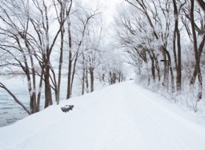 凍結した道路での安全運転:冬旅行のための専門家のヒント 