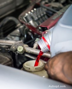フロリダ州タラハシーのオートマチックトランスミッション修理専門家 – 信頼できる AAMCO サービス 