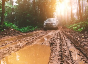 泥だらけのアウトドアアドベンチャーの後に車を素早く効果的に掃除するための基本ガイド 