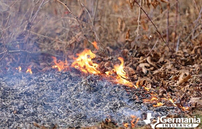 山火事の原因と急速な広がりを理解する:重要な要素と予防 