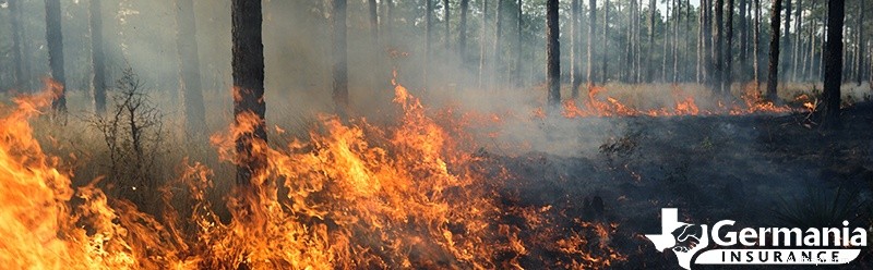 山火事の原因と急速な広がりを理解する:重要な要素と予防 