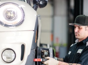 マスタードイツカーケア:長期的なパフォーマンスのための専門家のヒント 