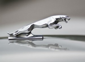 象徴的なアクセントから希少な宝物まで:車のボンネット装飾品の物語 