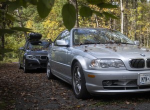 車の塗装をきれいな状態に保つ:落ち葉はすぐに取り除きます 