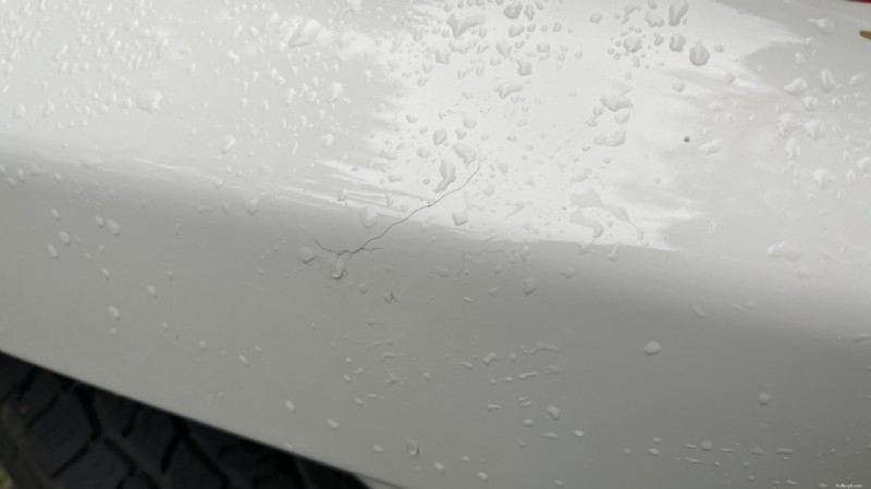 車の塗装をきれいな状態に保つ:落ち葉はすぐに取り除きます 