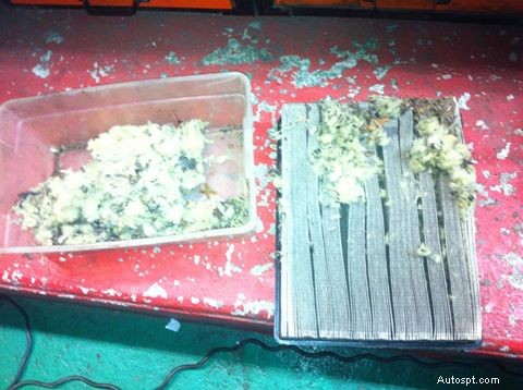 エンジンの失火を防ぐ:エアフィルターにネズミが入らないようにする 